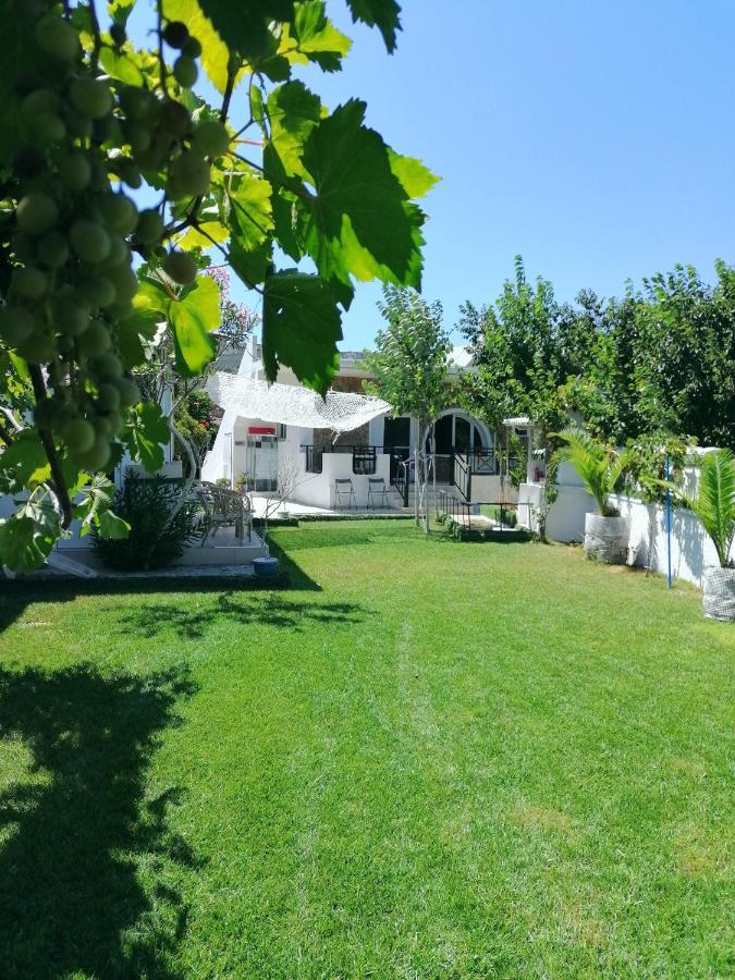 Villa Dina Chania  Eksteriør billede